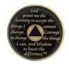 AA Medallion Purple Coin