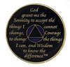 AA Medallion Blue Coin with White Triangle Bling Crystals