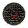 AA Medallion Red Coin