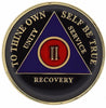 AA Medallion Black and Purple Coin