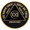 AA Medallion Black Coin