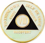 AA Medallion Glow in the Dark Coin