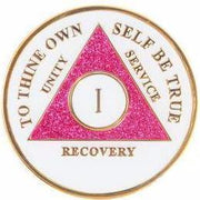 AA Medallion Glow in the Dark Glitter Pink Coin